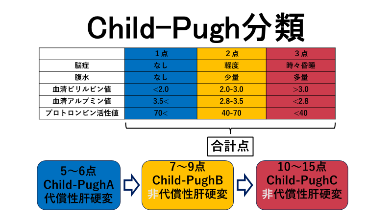 Child-Pugh スコアとは何ですか?